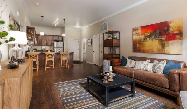 The Village at Aspen Place apartment interior