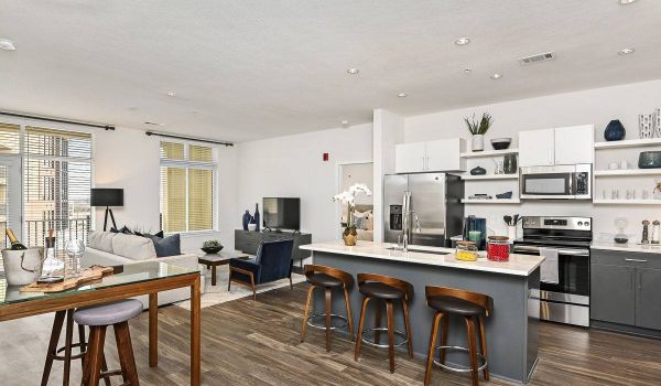 The District Flats apartment interior with open floor plan and modern kitchen