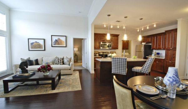 Mission 106 apartment interior with open floor plan and luxury kitchen