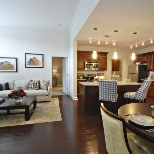 Mission 106 apartment interior with open floor plan and luxury kitchen