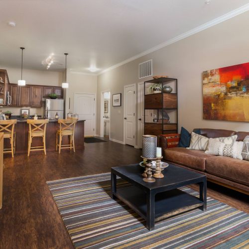 The Village at Aspen Place apartment interior