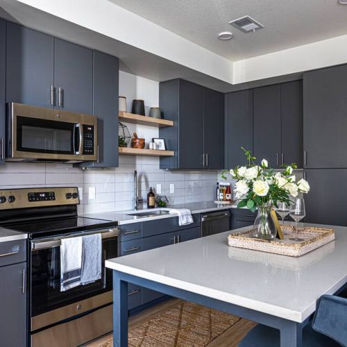 225 Sycamore apartment kitchen