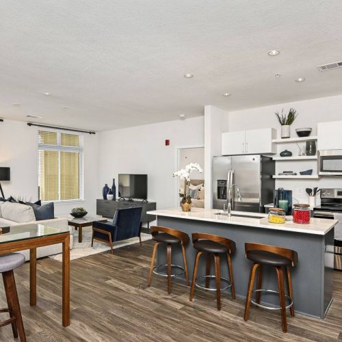 The District Flats apartment interior with open floor plan and modern kitchen