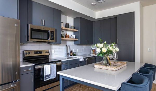 225 Sycamore apartment kitchen